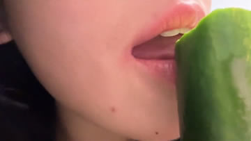 呆呆小羊 黄瓜