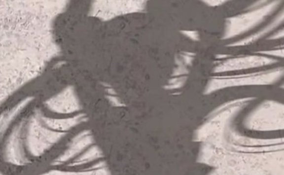 【无人声助眠】超级喜欢的甜耳助眠分享给你们