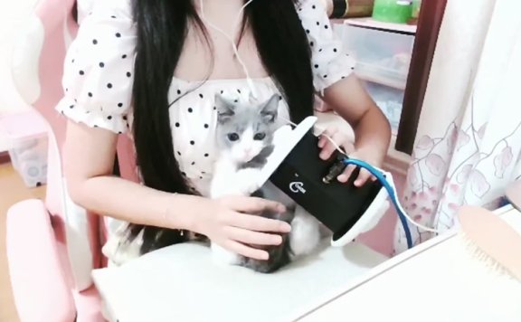 【dear诱耳助眠】用猫爪给你掏耳朵,还没试过吧