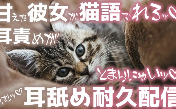 【音频剪辑】小鳩ひよ菜Nico限定 淘气女友今天做只小猫咪