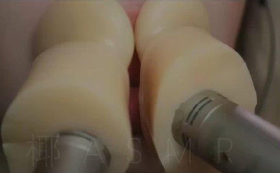 椰子 硅胶耳管麦天鹅